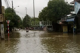 Lũ lớn tại Nghệ An - Hà Tĩnh, hàng ngàn hộ dân chìm trong biển nước