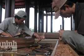 Khởi nguồn từ niềm đam mê cây cảnh, đồ cổ...