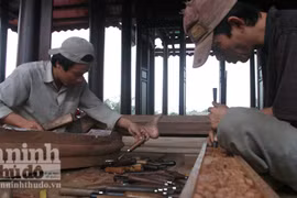 Khởi nguồn từ niềm đam mê cây cảnh, đồ cổ...