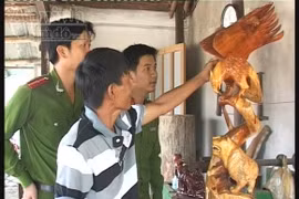 Xóa bỏ những mặc cảm với đời