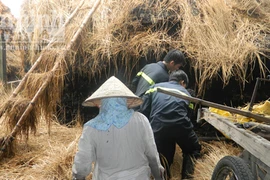 Nửa đêm kẻ gian đốt cháy khu bán rơm