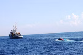 Tàu Trung Quốc dã man, bỏ mặc ngư dân Việt Nam sống chết giữa biển