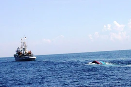 Tàu Trung Quốc dã man, bỏ mặc ngư dân Việt Nam sống chết giữa biển