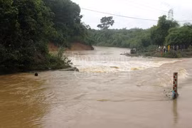 Nghệ An: Thêm 3 người bị lũ cuốn mất tích và tử vong