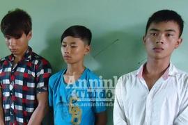 Bắt nhóm đối tượng chuyên đột nhập cửa hàng trộm cắp