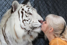 Cặp vợ chồng sống chung với hổ