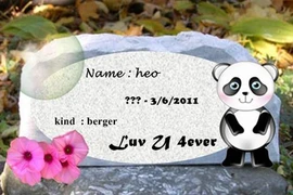 Kỳ 5: Độc đáo mộ dành cho thú cưng