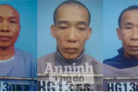 Phó Chủ tịch xã làm giả giấy tờ cho phụ nữ xuất cảnh, lấy chồng nước ngoài