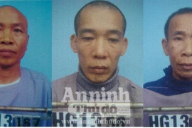 Phó Chủ tịch xã làm giả giấy tờ cho phụ nữ xuất cảnh, lấy chồng nước ngoài