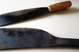 Cầm dao chém anh trai, doạ chém cả Công an