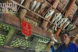 Bỏ tục "săn máu" để thực hiện ước mơ