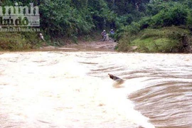 Lũ lớn cô lập huyện miền núi Nam Trà My