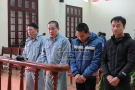 “Ăn” hạt cười lĩnh 75 tháng tù