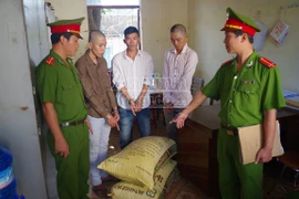 Bắt nhóm đối tượng chuyên trộm cắp cà phê