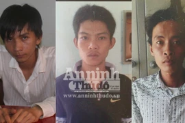 Xóa sổ ổ nhóm đưa ma túy từ TPHCM về Khánh Hòa tiêu thụ 