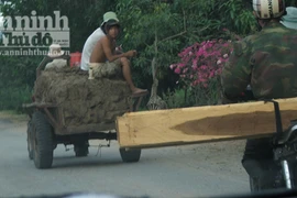 Tăng đột biến nạn vận chuyển lâm sản trái phép