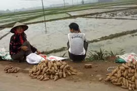 Liên kết “bốn nhà”: Vẫn nằm ỳ trên giấy