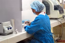 5-10% số người dân bị nhiễm "amip ăn não người"
