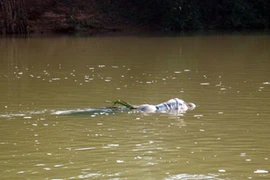 Một lao động Việt Nam chết trôi sông ở Nga