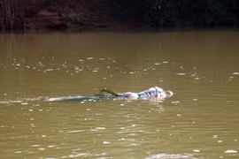 Một lao động Việt Nam chết trôi sông ở Nga