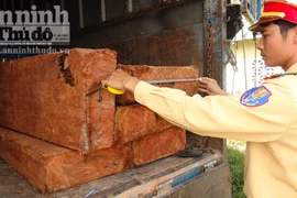 Bắt 2 vụ khai thác, vận chuyển gỗ lậu