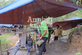 "Đột kích” bãi vàng trên đỉnh Cư Kuin