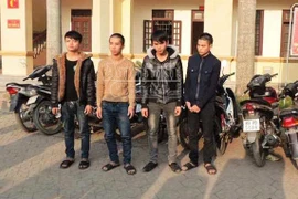 Lừa bố mẹ đi XKLĐ, rồi lập ổ nhóm trộm cắp