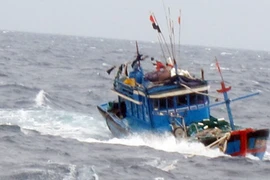 Bình Định: 2 tàu cá bị nạn trên biển đã vào bờ an toàn