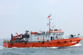 Tìm kiếm 3 nạn nhân trong vụ tàu cá bị tàu hàng đâm trên biển