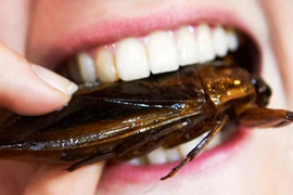 Chết vì thi ăn trứng và gián