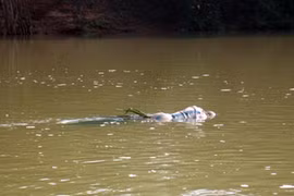 Tin của CTV Trịnh Nguyễn gửi