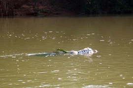 Tin của CTV Trịnh Nguyễn gửi