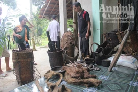 Cha con "người rừng" vẫn hoảng loạn đòi về sống trên ngọn cây