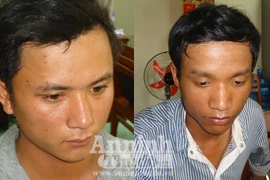 6 tháng, táo tợn ra tay cướp giật 35 vụ