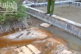 Phớt lờ quy định, một nhà máy vô tư xả thải ra môi trường