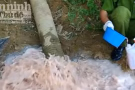 Xử phạt cơ sở sản xuất xả thải trực tiếp ra sông