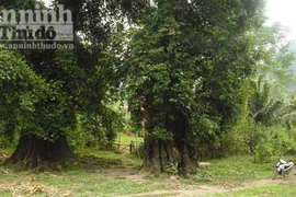 Kì bí "thị vợ, thị chồng" và ngôi đến Bạch Mã linh thiêng