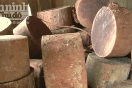 Lâm tặc rải đinh ngăn cản kiểm lâm tịch thu gỗ