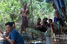 BQL rừng "cửa đóng then cài" mặc lâm tặc hoành hành