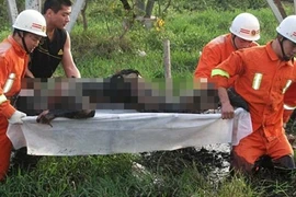 Thực hư câu chuyện quật mồ người chết lấy xương làm bùa