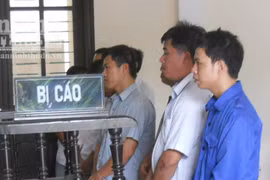 Xét xử phúc thẩm vụ lật xe chở gỗ lậu làm 10 người chết