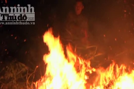 Quảng Ngãi: Người dân bất cẩn gây cháy rừng 