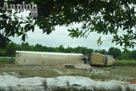 Tránh xe khách ngược chiều, xe container lao xuống hố cát