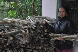 Mảnh đời 58 mảnh đạn