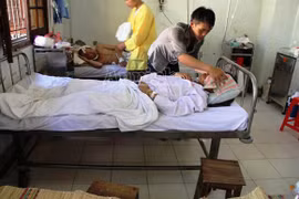 Ăn phải nấm lạ, 3 người tử vong, 1 người nguy kịch