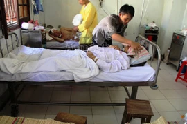 Ăn phải nấm lạ, 3 người tử vong, 1 người nguy kịch