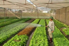 Tỷ lệ nghèo ở nông thôn giảm còn 9,45%