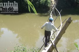 Chênh vênh qua cầu khỉ