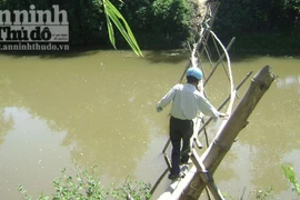 Chênh vênh qua cầu khỉ