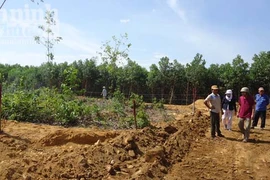 Đang điều tra việc bỗng chốc bị san lấp mồ mả tổ tiên